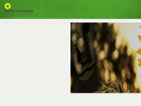 gruene-schwelm.de Webseite Vorschau