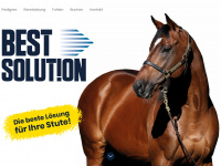 stallion-bestsolution.de Webseite Vorschau