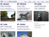 almenraeder.com Webseite Vorschau
