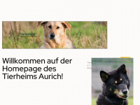 tierheim-aurich.info Webseite Vorschau