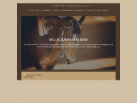 allroundhorses.de Webseite Vorschau
