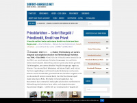 sofort-bargeld.net Webseite Vorschau