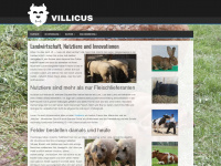 villicus.de Webseite Vorschau