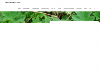 heilpflanzen-kurse.ch Webseite Vorschau