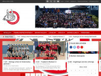 luchse-handball.de Webseite Vorschau