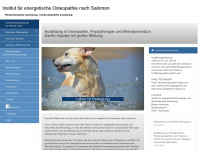 osteopathie-institut.com Webseite Vorschau