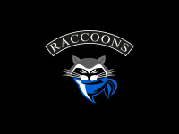 raccoons.bike Webseite Vorschau