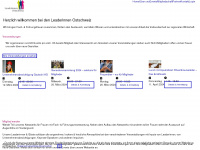 leaderinnenostschweiz.ch Webseite Vorschau