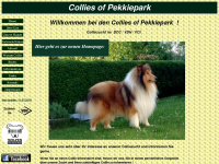 collies-of-pekkiepark.de Webseite Vorschau