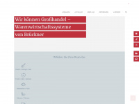 brueckner-system.com Webseite Vorschau