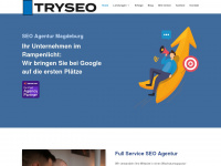 tryseo.de Webseite Vorschau