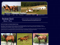 handsome-ranch.com Webseite Vorschau