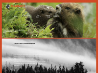 marmots.org