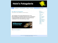 heinzkochfotos.wordpress.com Webseite Vorschau