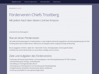 foerderverein-chiefs-trostberg.de Webseite Vorschau
