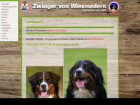 bernersennenhunde.at Webseite Vorschau