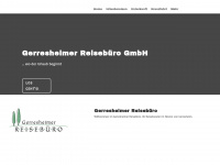 gerresheimer-rsb.de Webseite Vorschau