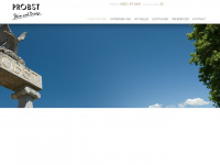 probst-naturstein.de Webseite Vorschau