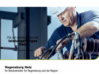 regensburg-netz.de Webseite Vorschau