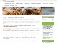 kratzbaum-xxl.de Webseite Vorschau