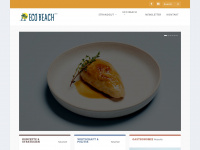 ecobeach.de Webseite Vorschau