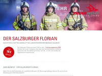 salzburger-florian.at