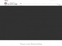 bioweine-schnabl.at Webseite Vorschau