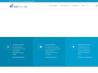 sailteam.ch Webseite Vorschau