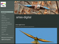 artes-digital.de Webseite Vorschau