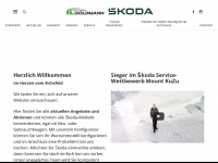 skoda-goldmann.de Webseite Vorschau