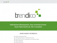 datenschutz-trendico.de Webseite Vorschau