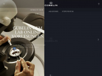 gubelingemlab.com Webseite Vorschau