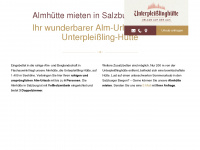 hütte-flachau.at Webseite Vorschau