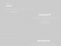 dogsolut.com Webseite Vorschau