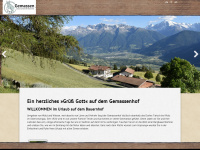 gemassenhof.it Webseite Vorschau