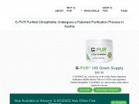 g-pur.com Webseite Vorschau