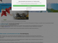 putz-blitz-raumpflege.de Webseite Vorschau