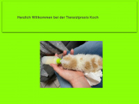 tierarztpraxis-koch-altenstadt.de Thumbnail