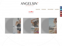 angelsin.com.tr Webseite Vorschau