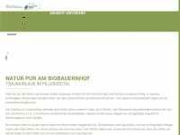 ferienwohnungen-fieberbrunn.at Webseite Vorschau