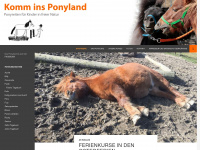 ponyreiten-wuppertal.de Webseite Vorschau