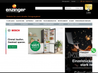 enzinger.com Webseite Vorschau