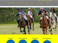 elsur-racing.de Webseite Vorschau