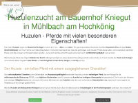 huzulen-zucht.at Webseite Vorschau