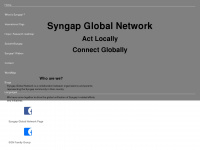 syngapglobal.net Webseite Vorschau