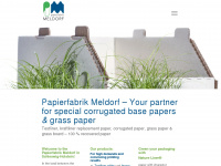 pfm-papers.de Webseite Vorschau