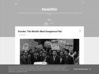 medellitin.com Webseite Vorschau