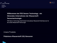 fes-sensor.com Webseite Vorschau