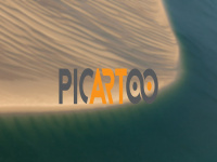 picartoo.de Webseite Vorschau