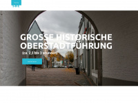 heinsbergerstadtfuehrungen.de Webseite Vorschau